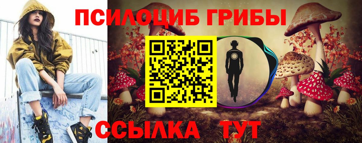 Псилоцибиновые грибы мухоморы  Псилоцибиновые грибы MAGIC MUSHROOMS  Вход с VPN  Анжеро-Судженск 